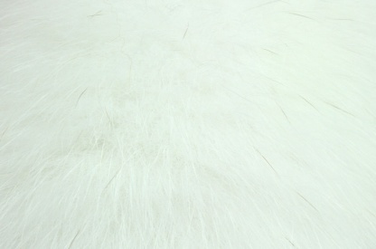 Shadow Fox - White
