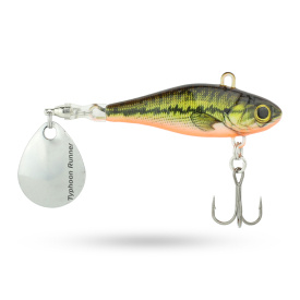 Hurricane Typhoon Runner