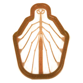 Easy Shrimp Legs 2.0 - Transp Dirty Brown