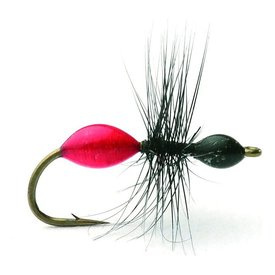 Transparant Ant Black/Red Maur Tørr - 14