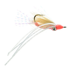 Umpqua Bone Appetite Chicone Pink #4