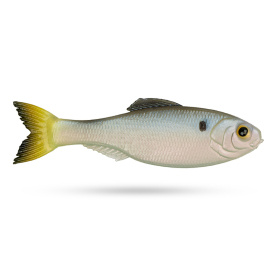 6th Sense Panorama, 2'' - Clearwater Shad