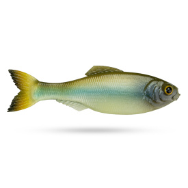 6th Sense Panorama, 2'' - Ghost Minnow