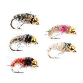 Gold Head Czech Nymphs 5-pack